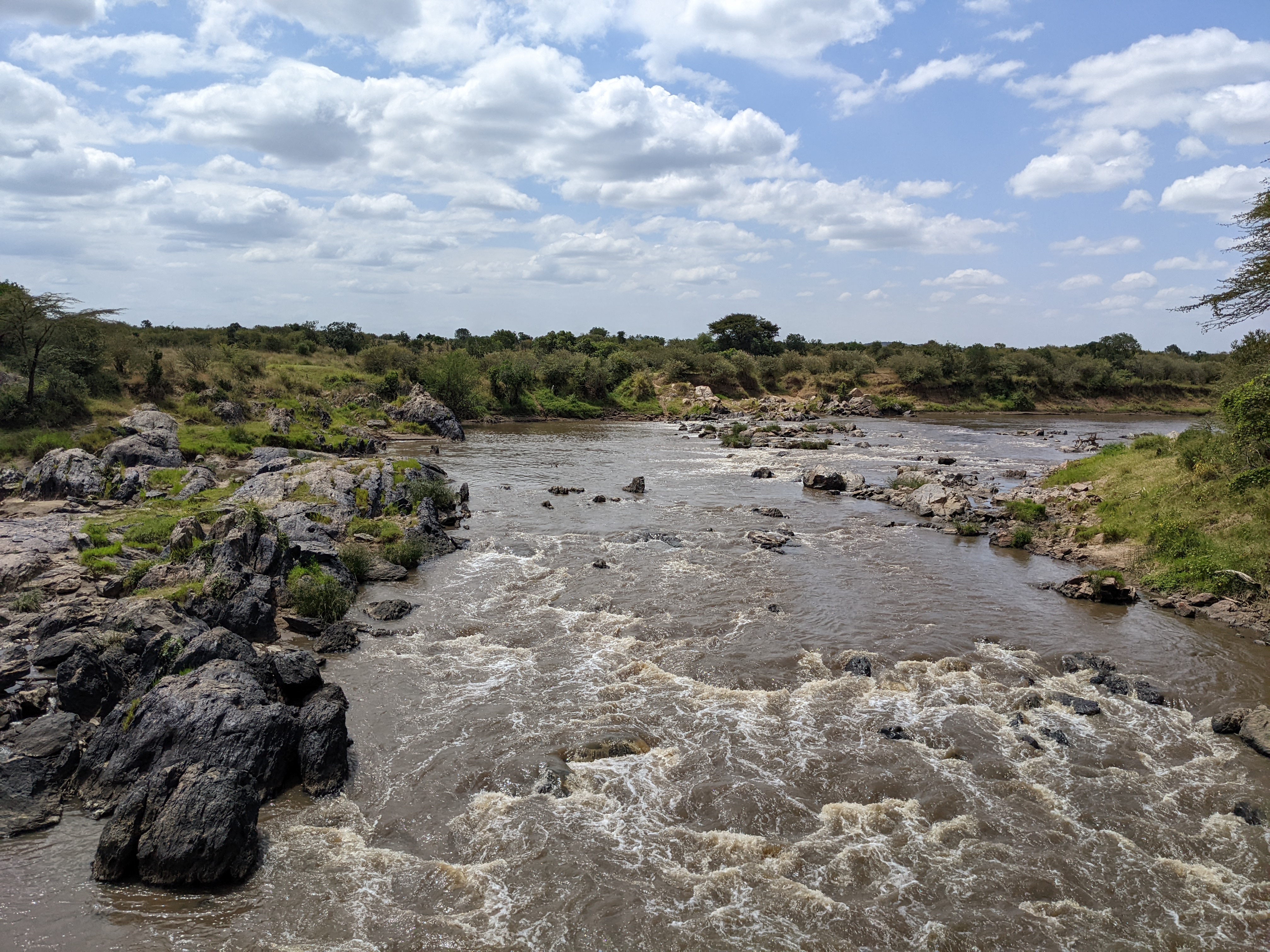 Mara River