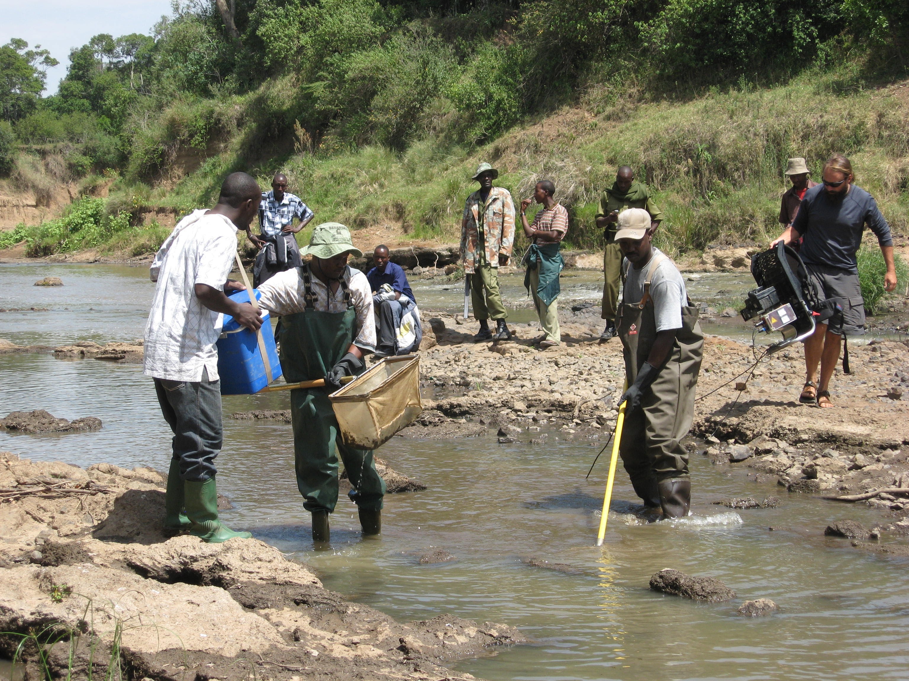fish sampling