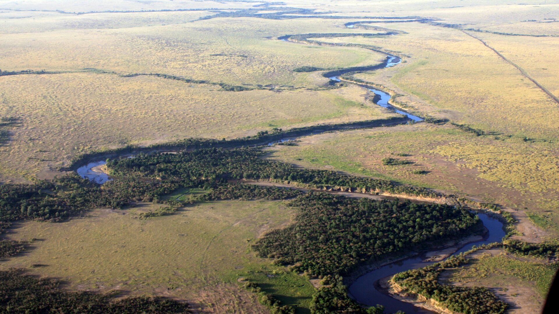 Aerial view of the Mara River meandering through the open plains of the Maasai Mara