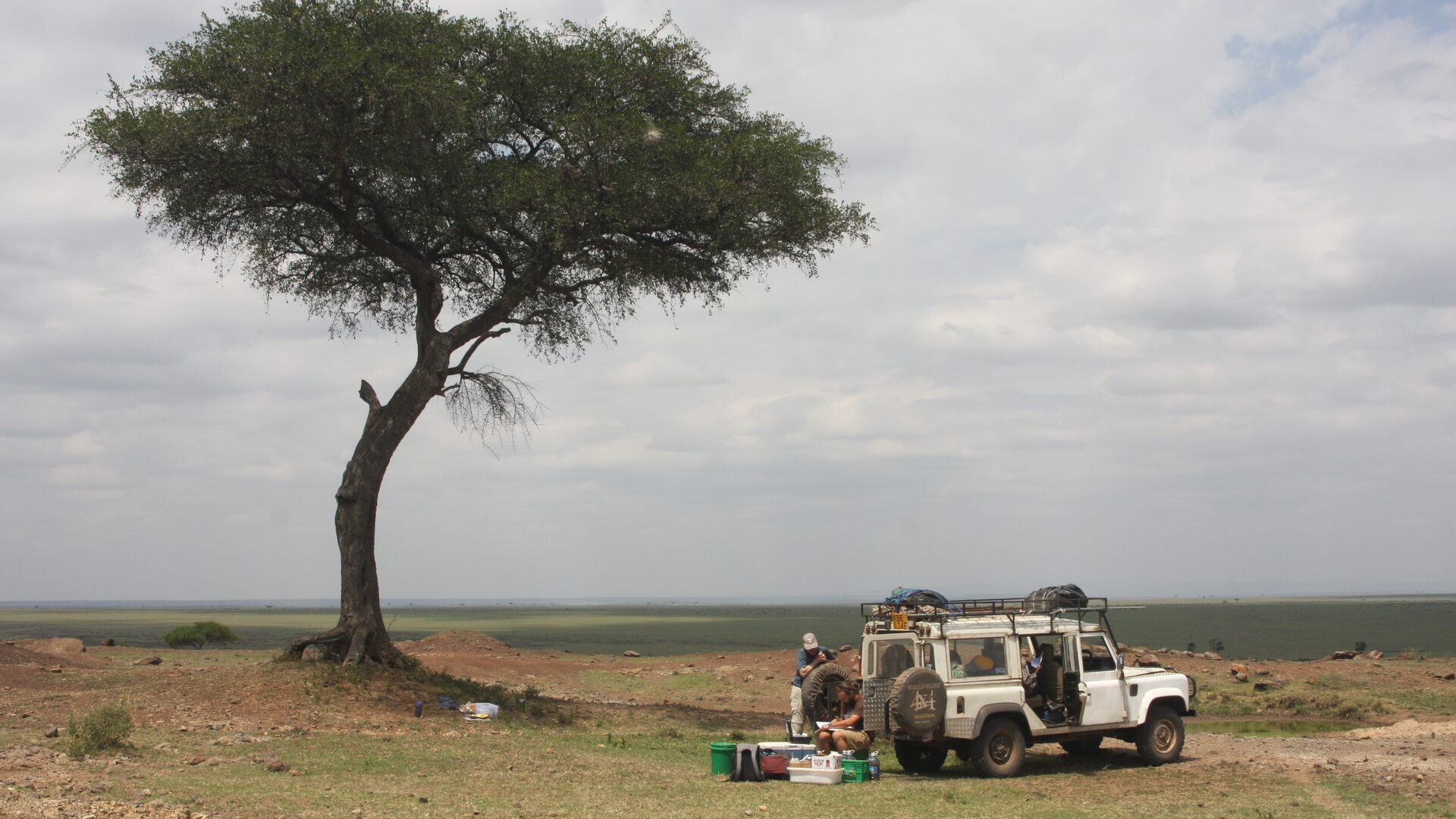 Field vehicles parked under a tree at the camp on the Mara