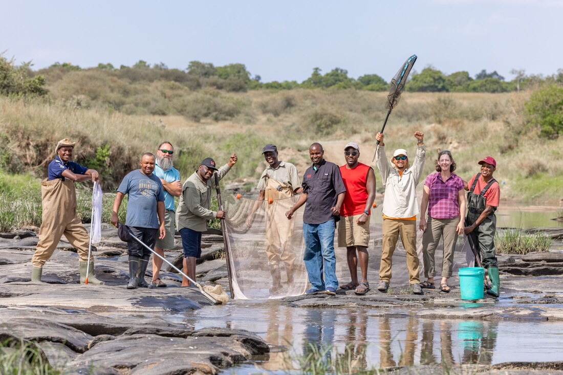 The fish sampling crew on a rock shelf in the river